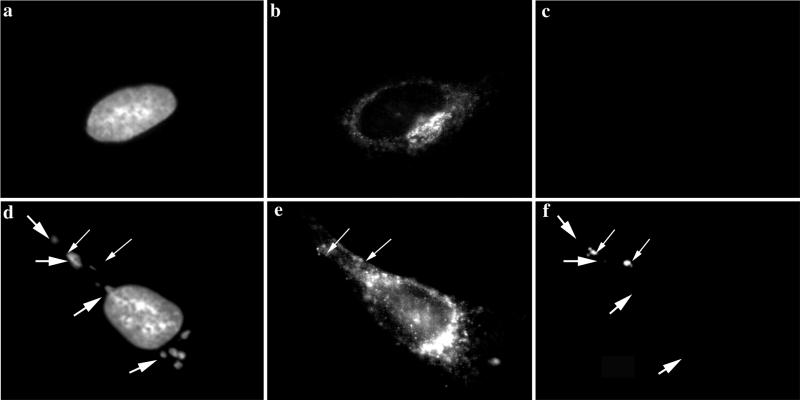 FIG. 10.