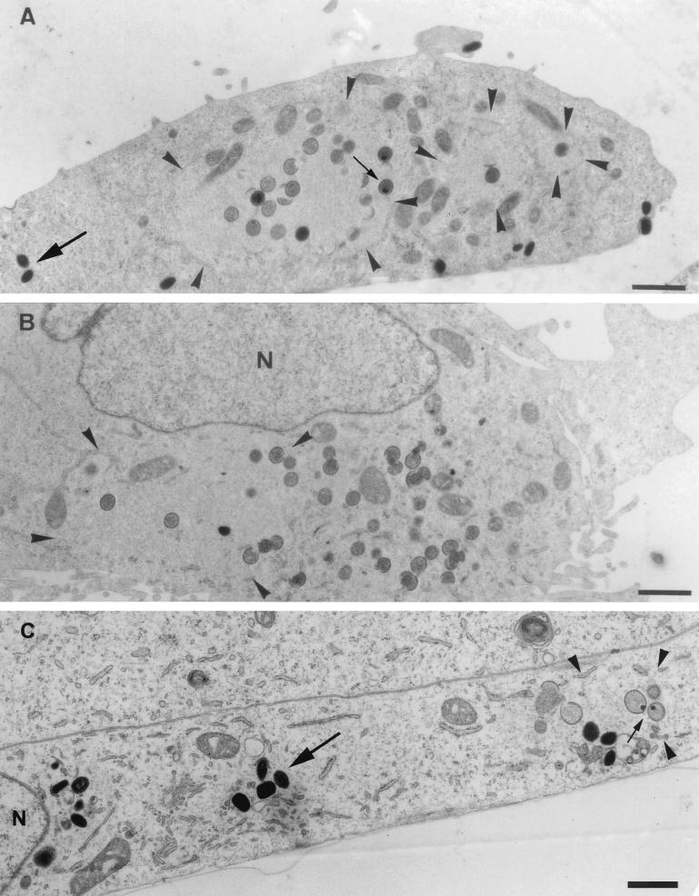 FIG. 5.