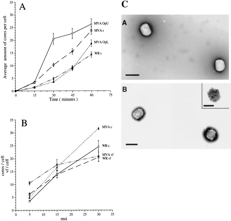 FIG. 1.