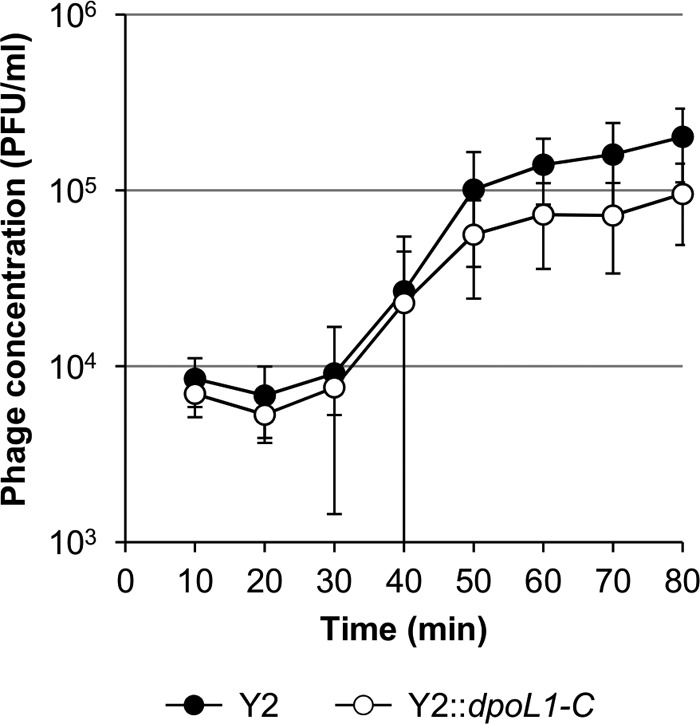 FIG 3