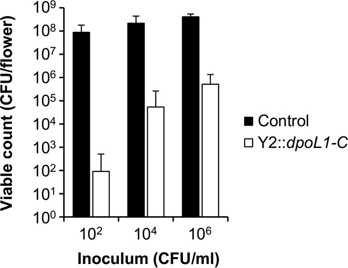 FIG 5