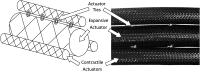 <b>FIG. 1.</b>