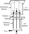 <b>FIG. 7.</b>