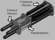 <b>FIG. 3.</b>