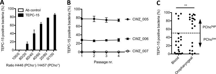 FIG 2