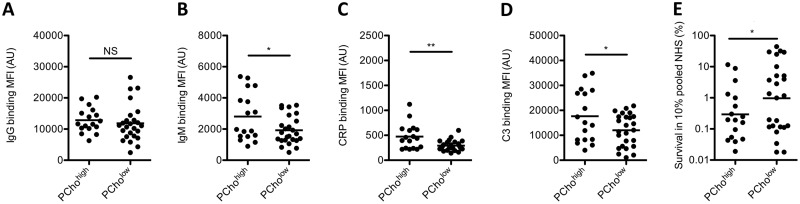 FIG 3