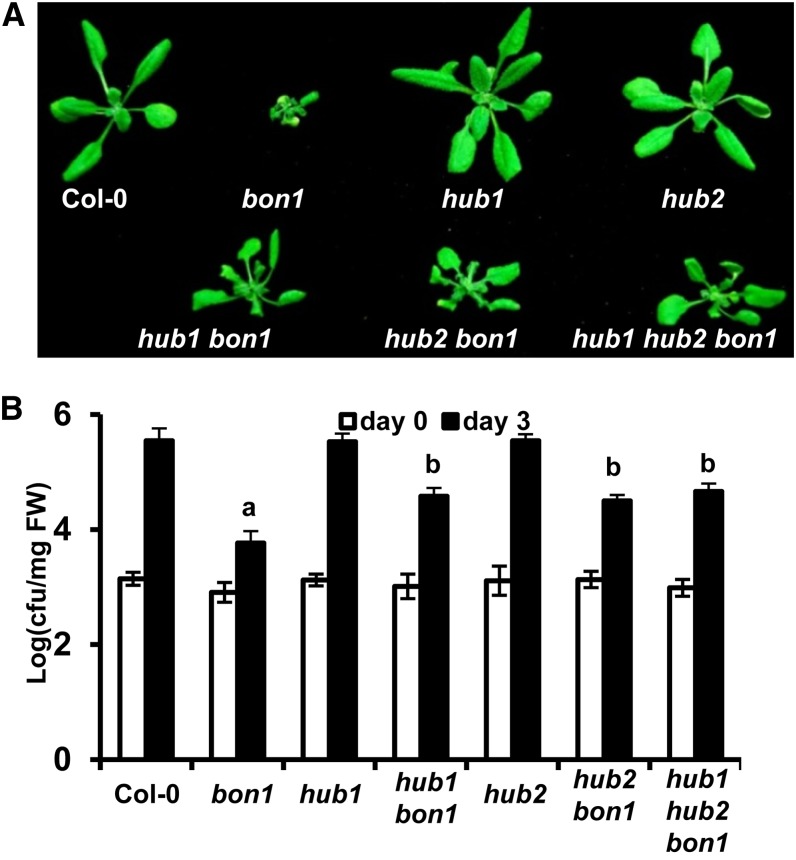 Figure 3.