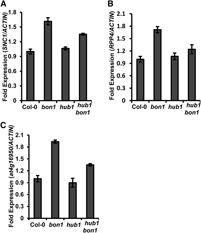 Figure 7.