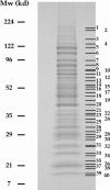 FIGURE 9.