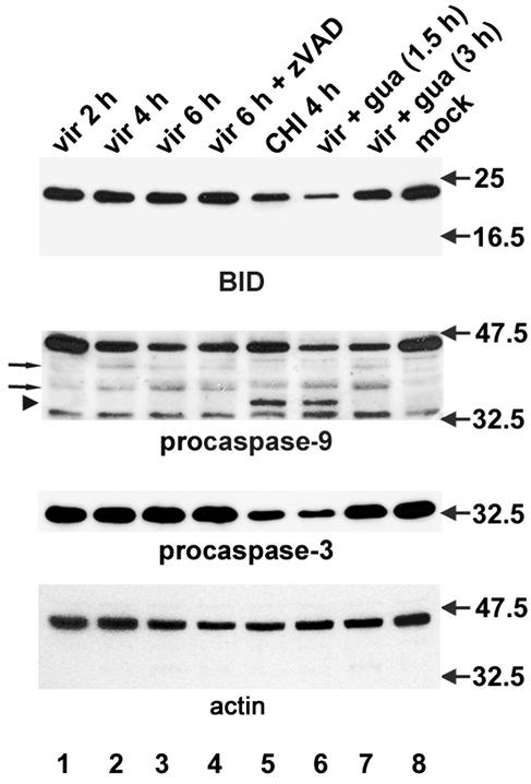 FIG. 6.