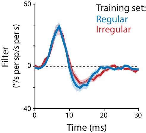 Figure 5—figure supplement 1.