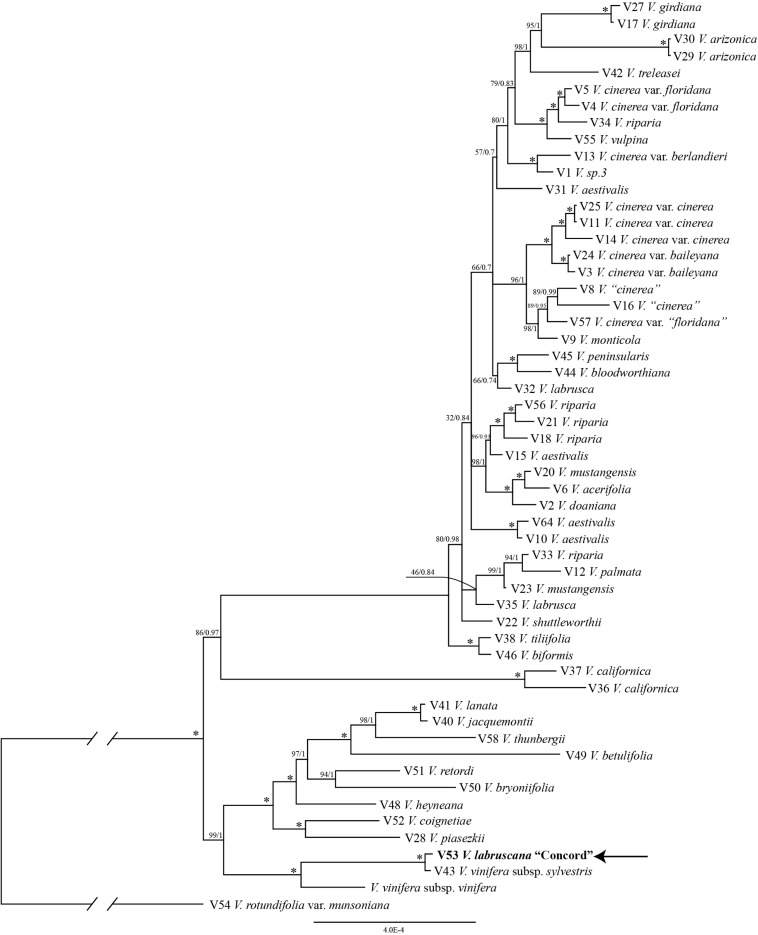 FIGURE 2