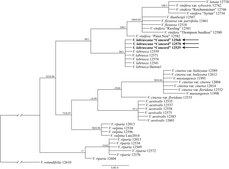 FIGURE 3