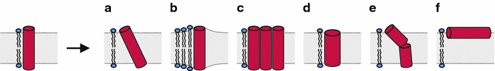 Fig. 2