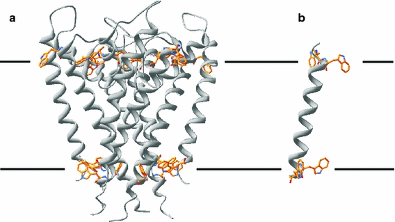 Fig. 1