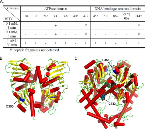 FIGURE 6.