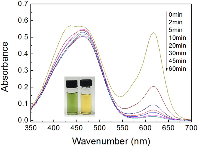 Figure 10