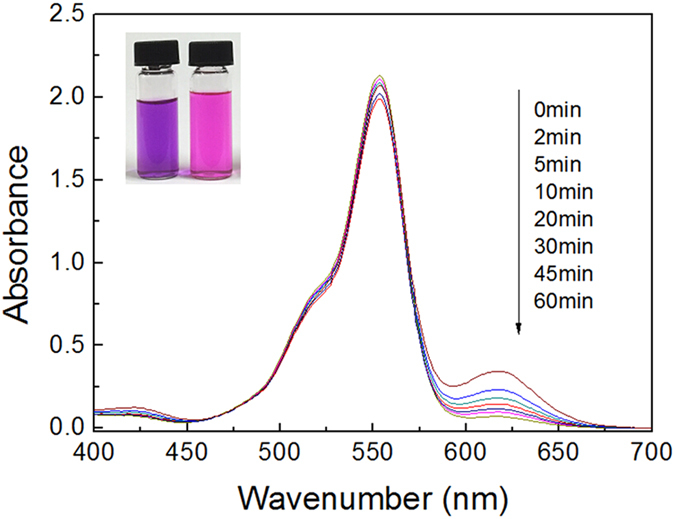 Figure 11