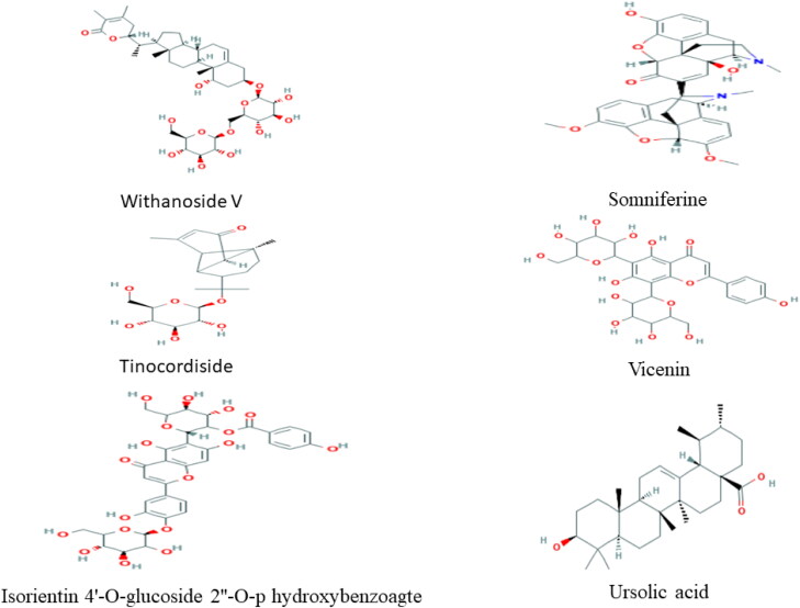 Figure 5.