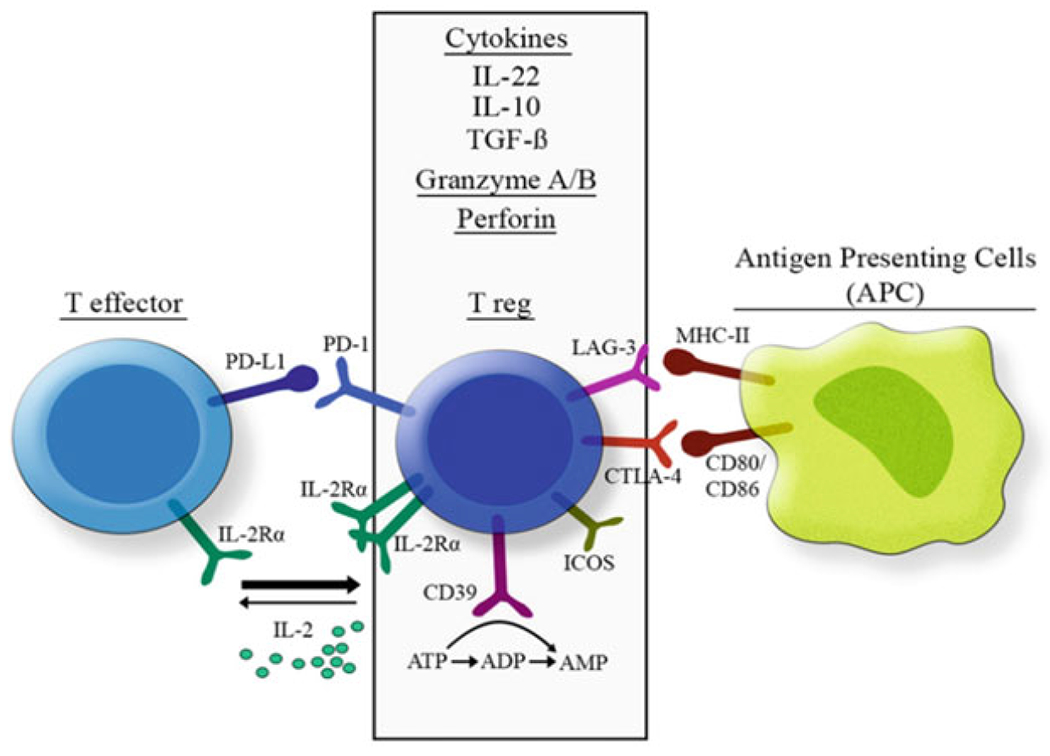 Fig. 9.2