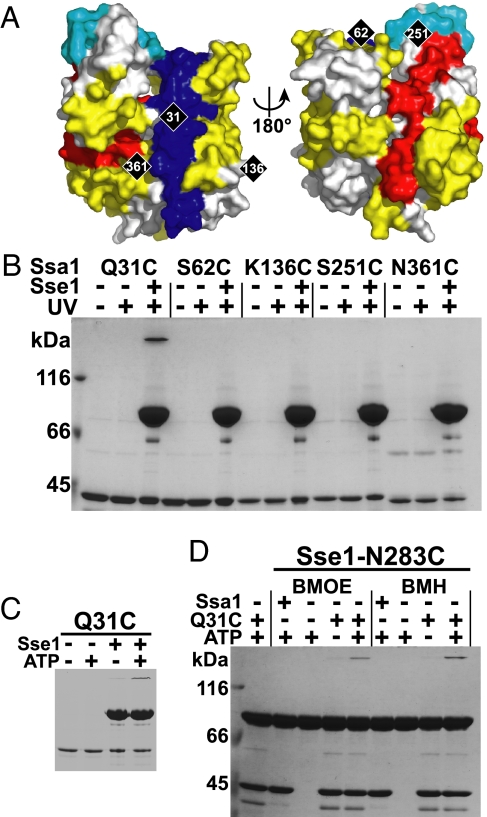 Fig. 4.