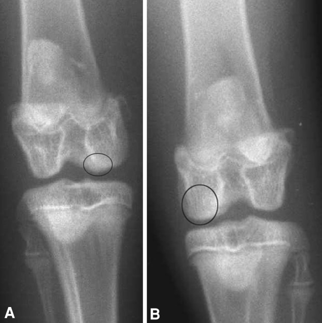 Fig. 3A–B