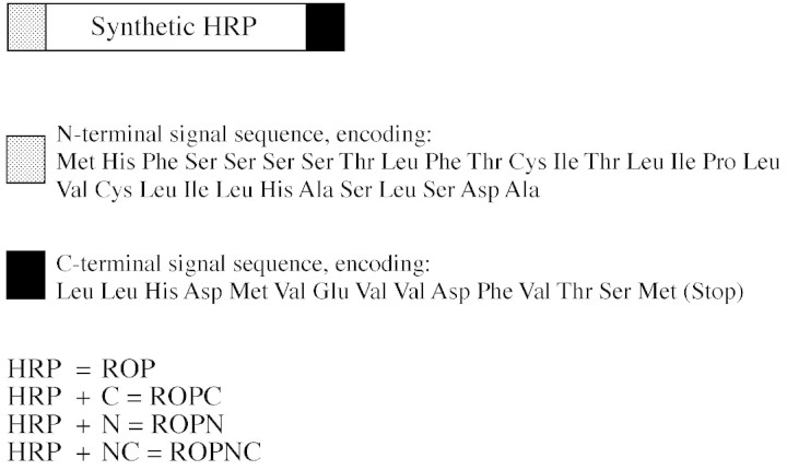 graphic file with name mch045f1.jpg