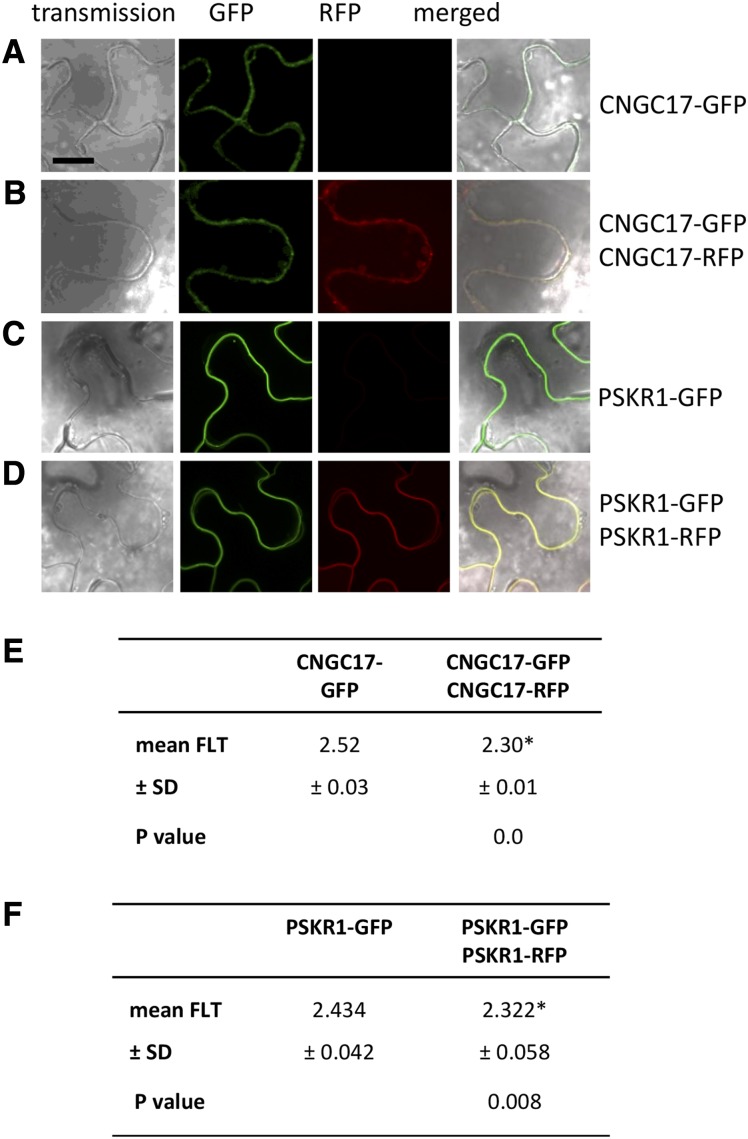 Figure 6.