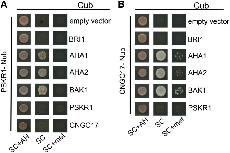 Figure 3.