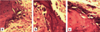 [Table/Fig-6a-c]: