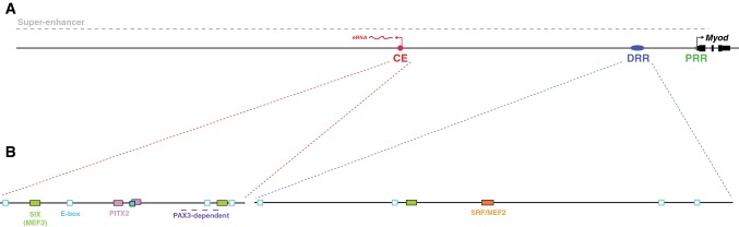 Fig. 1