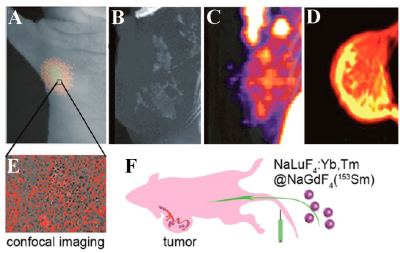 Fig. 23