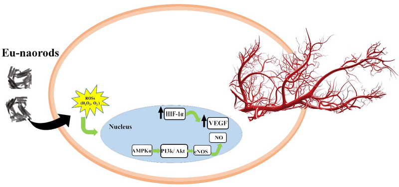 Fig. 16