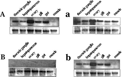 Fig 6.