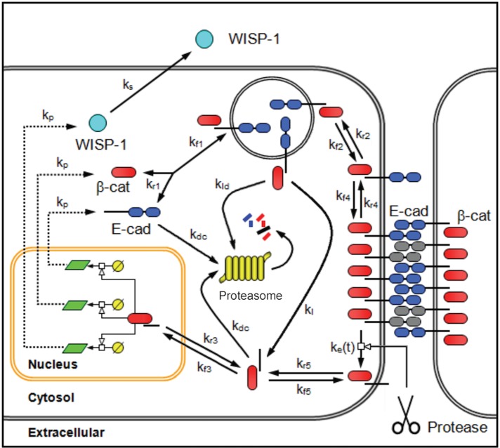 FIGURE 7: