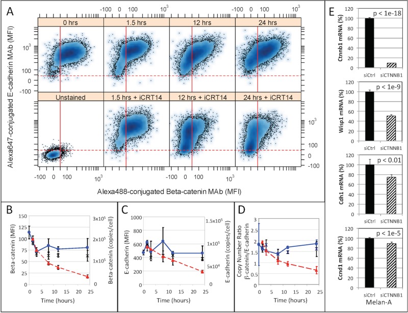 FIGURE 6: