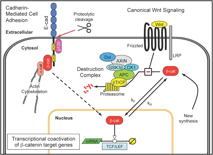 FIGURE 1: