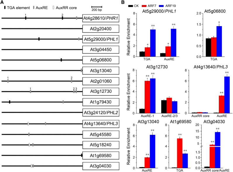 Figure 10.