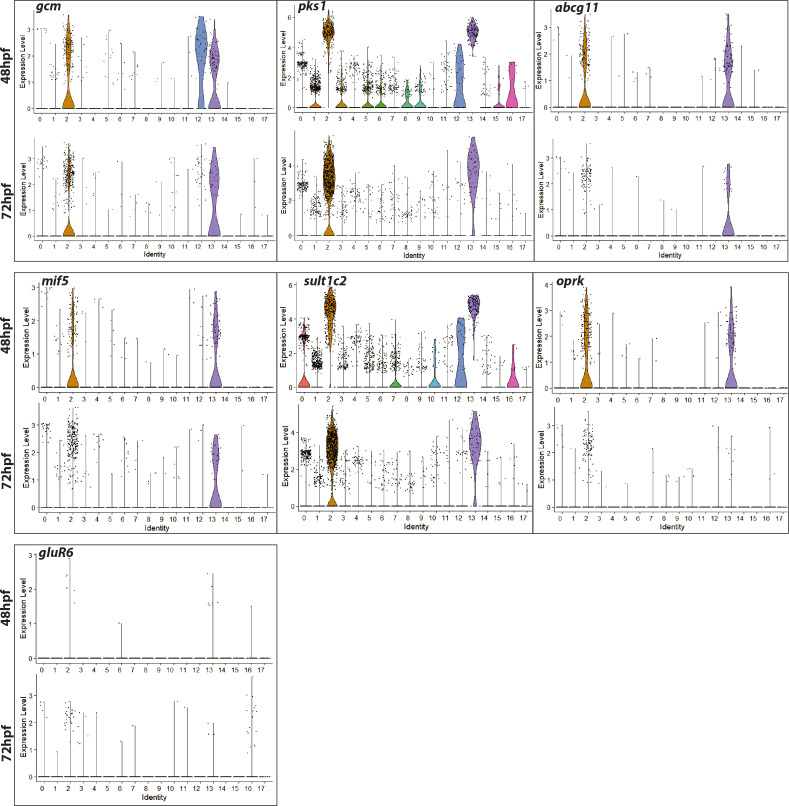 Figure 2—figure supplement 2.