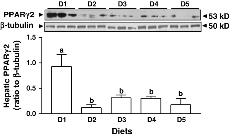 Fig. 5