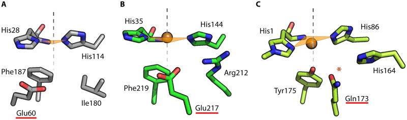 FIG 1