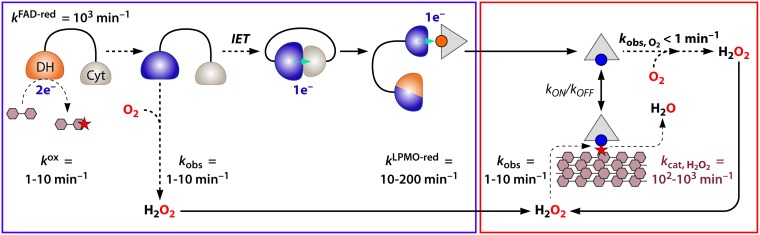 FIG 5