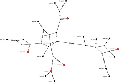 graphic file with name ECE3-13-e9785-g003.jpg