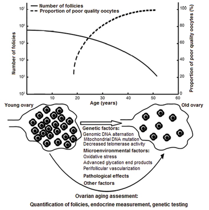 Fig.1