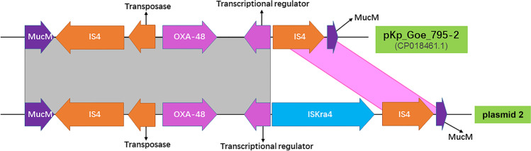 Fig. 2