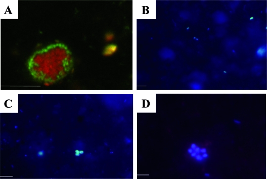 FIG. 6.