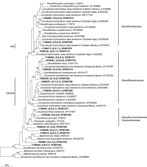 FIG. 7.