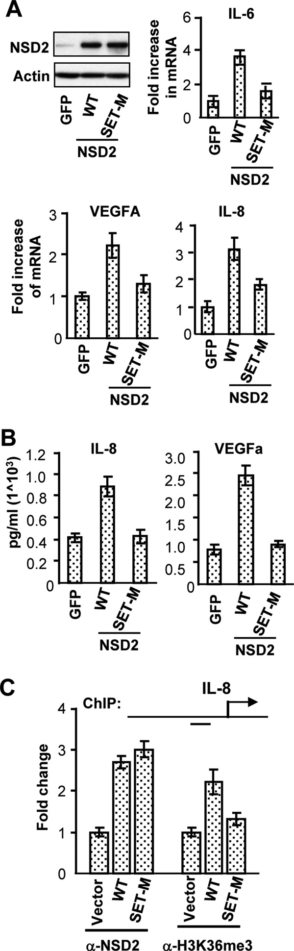 Fig 7