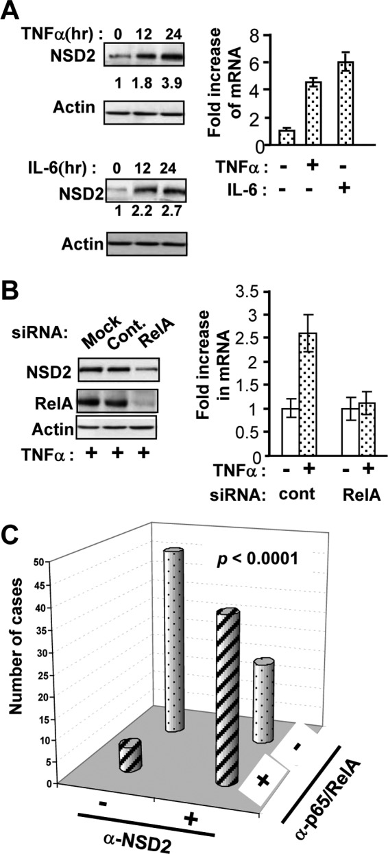 Fig 8