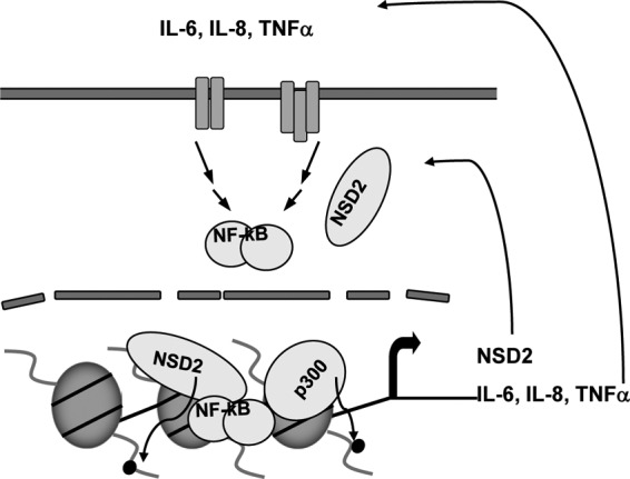 Fig 9